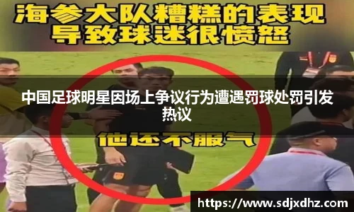 中国足球明星因场上争议行为遭遇罚球处罚引发热议