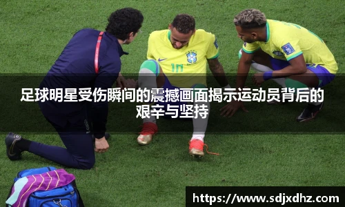 K1体育十年品牌